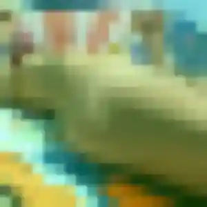 Myriam, 29 ans, en ligne à Pontorson pour une rencontre coquine
