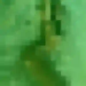 Photo de Diane à Praz-sur-Arly (40 ans) - plan cul discret