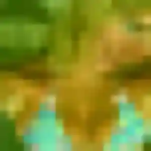 Lucienne, fille de 40 ans cherche plan cul à Prissé