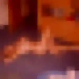 Ava, 31 ans, disponible à Prudhomat pour un plan cul
