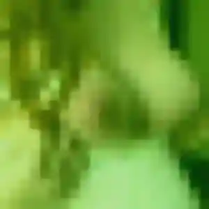 Vera, fille de 38 ans propose plan cul à Puget-sur-Argens