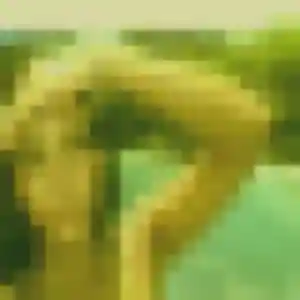 Laure, 45 ans, disponible à Puget pour une rencontre coquine