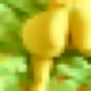 Rebecca, 22 ans, dispo pour plan cul à Quarré-les-Tombes
