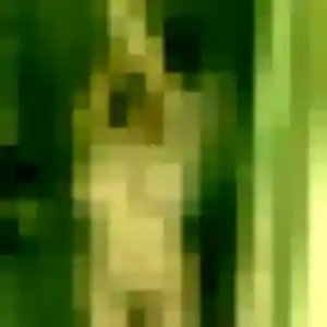 Gwendoline, 36 ans, connectée à Quéménéven pour une rencontre coquine