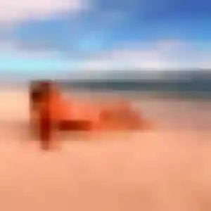 Photo exclusive de Viviane, 38 ans à Quévert - plan discret