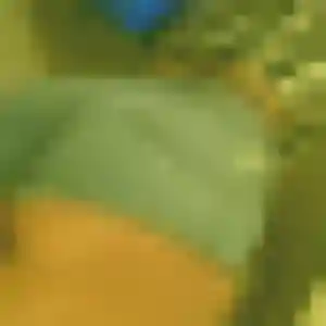 Caroline, fille de 31 ans cherche plan cul à Quiers-sur-Bezonde