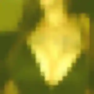 Photo privée de Capucine, 30 ans à Quint-Fonsegrives - rencontre coquine