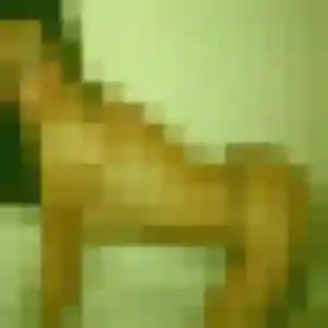 Alexandra, 22 ans, connectée à Rahling pour une rencontre coquine