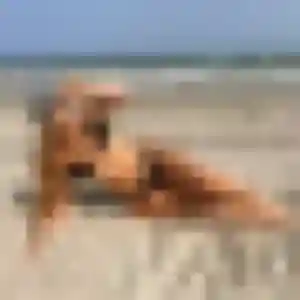 Alice, femme de 24 ans cherche plan cul à Rainneville