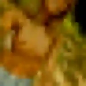 Camille, femme de 43 ans veut plan cul à Réding