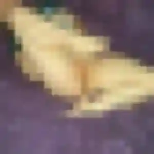 Photo perso de Clara, 45 ans à Reillanne - rencontre coquine