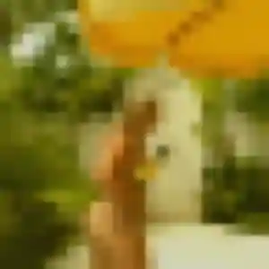 Profil de Alix à Riantec (32 ans) - plan cul gratuit
