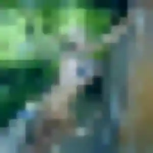 Photo privée de Brune, 22 ans à Rieucros - rencontre sans lendemain