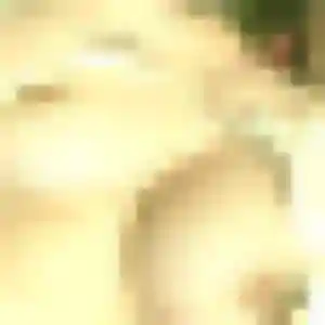 Edith, 25 ans, dispo pour plan cul à Rillieux-la-Pape