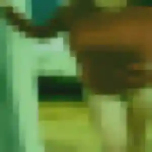 Profil de Wendy à Roanne (43 ans) - plan cul anonyme