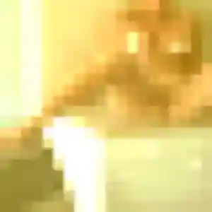 plan cul à Rœschwoog : photo de Aurelie, 36 ans - accès libre