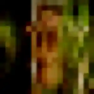 Janine (42 ans) à Roscanvel attend une rencontre ce soir