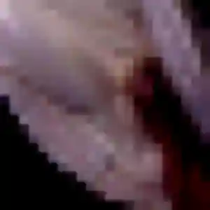 Profil de Daniela à Rouhling (34 ans) - plan cul gratuit