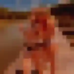 Profil de Jennifer à Rouvres (44 ans) - plan cul gratuit