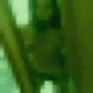 Profil de Oceane à Rumilly (43 ans) - plan cul discret