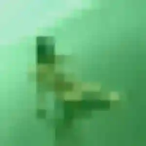 Profil de Thais à Sablons (44 ans) - plan cul gratuit