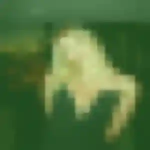 Profil de Suzanne à Saint-Amé (30 ans) - plan cul gratuit