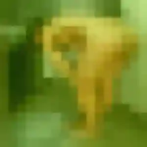 Tania, femme de 38 ans cherche plan cul à Saint-André-les-Alpes