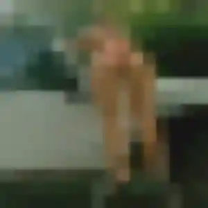 Photo de Graziella à Saint-Antoine-la-Forêt (39 ans) - plan cul anonyme