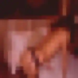 Typhaine, 29 ans, dispo pour plan cul à Saint-Briac-sur-Mer