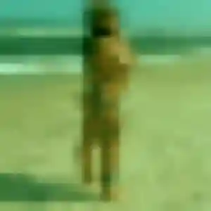 Jessica, 28 ans, connectée à Saint-Caprais-de-Bordeaux pour un plan cul