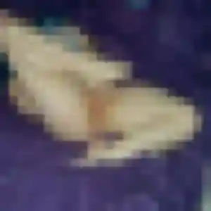 Photo privée de Adelaide, 23 ans à Saint-Ciers-sur-Gironde - plan discret