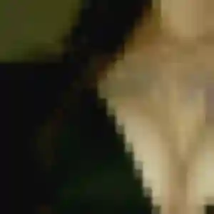 Amandine, fille de 26 ans veut plan cul à Saint-Denis-Lanneray
