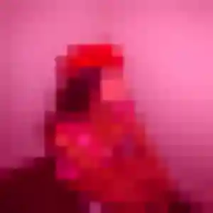 Anne-Laure (39 ans) à Saint-Denis-Lanneray cherche un plan cul maintenant