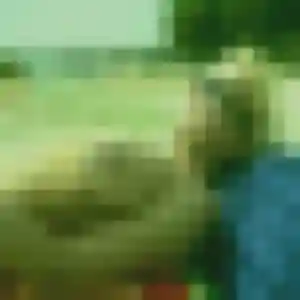 plan cul à Saint-Gaultier : photo de Marie-Therese, 43 ans - accès libre