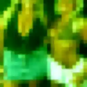 Profil de Faustine à Saint-Germain-au-Mont-d'Or (35 ans) - plan cul gratuit