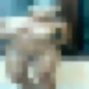 Rencontre Mila, 41 ans à Saint-Germain-au-Mont-d'Or en privé