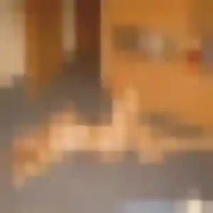 Chiara, 43 ans, en ligne à Saint-Germain-du-Teil pour une rencontre coquine