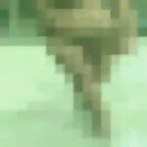 Belle Debora, 25 ans à Saint-Gervais-en-Belin - la contacter