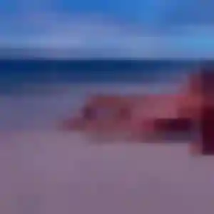 Photo privée de Vera, 37 ans à Saint-Herblain - rencontre coquine