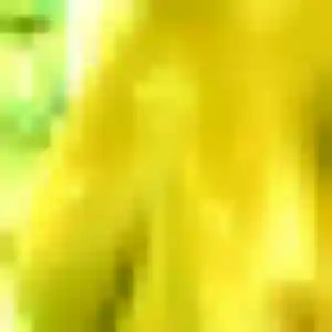 Découvre Charline, 22 ans à Saint-Hilaire-la-Forêt en privé