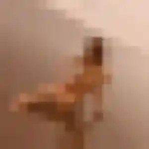 Photo privée de Mila, 36 ans à Saint-Jean-Brévelay - rencontre coquine