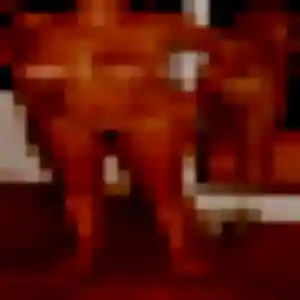Photo privée de Anne-Charlotte, 25 ans à Saint-Jean-de-Daye - rencontre sans lendemain
