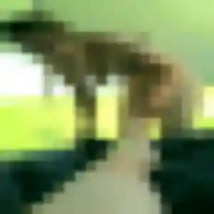 Zephyrine de Saint-Jean-les-Deux-Jumeaux, 22 ans - plan cul en toute liberté