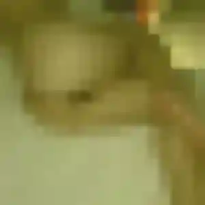 Photo de Ximena à Saint-Joseph-de-Rivière (28 ans) - plan cul anonyme