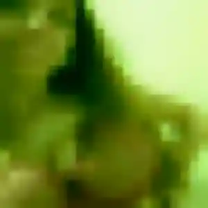 Photo de Sabine à Saint-Just-Sauvage (41 ans) - plan cul gratuit