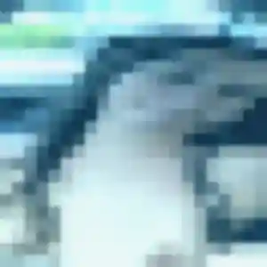 Uranie, 39 ans, cherche un plan cul à Saint-Laurent-sur-Gorre