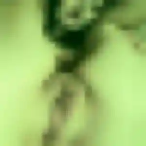 Honorine, 42 ans, disponible à Saint-Léonard pour un plan cul
