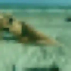 Photo sexy de Alicia, 35 ans à Saint-Lormel - rencontre sans lendemain