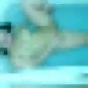 Profil de Louna à Saint-Lubin-des-Joncherets (22 ans) - plan cul discret