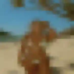 Charmante Anne, 44 ans à Saint-Martin-d'Écublei - voir sa photo